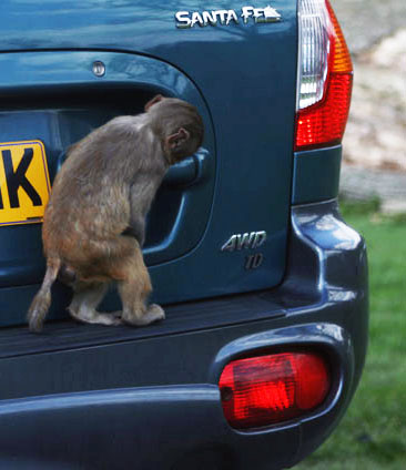 hitchkiking near hotel in bath